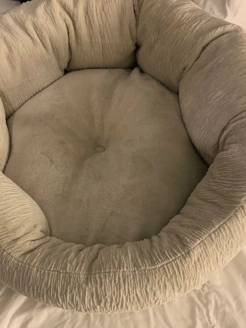 Creme Chenille Dog Bed